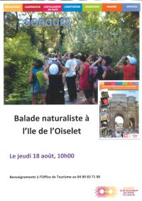Balade naturaliste à l’Ile de l’Oiselet. Le jeudi 18 août 2016 à SORGUES. Vaucluse.  10H00